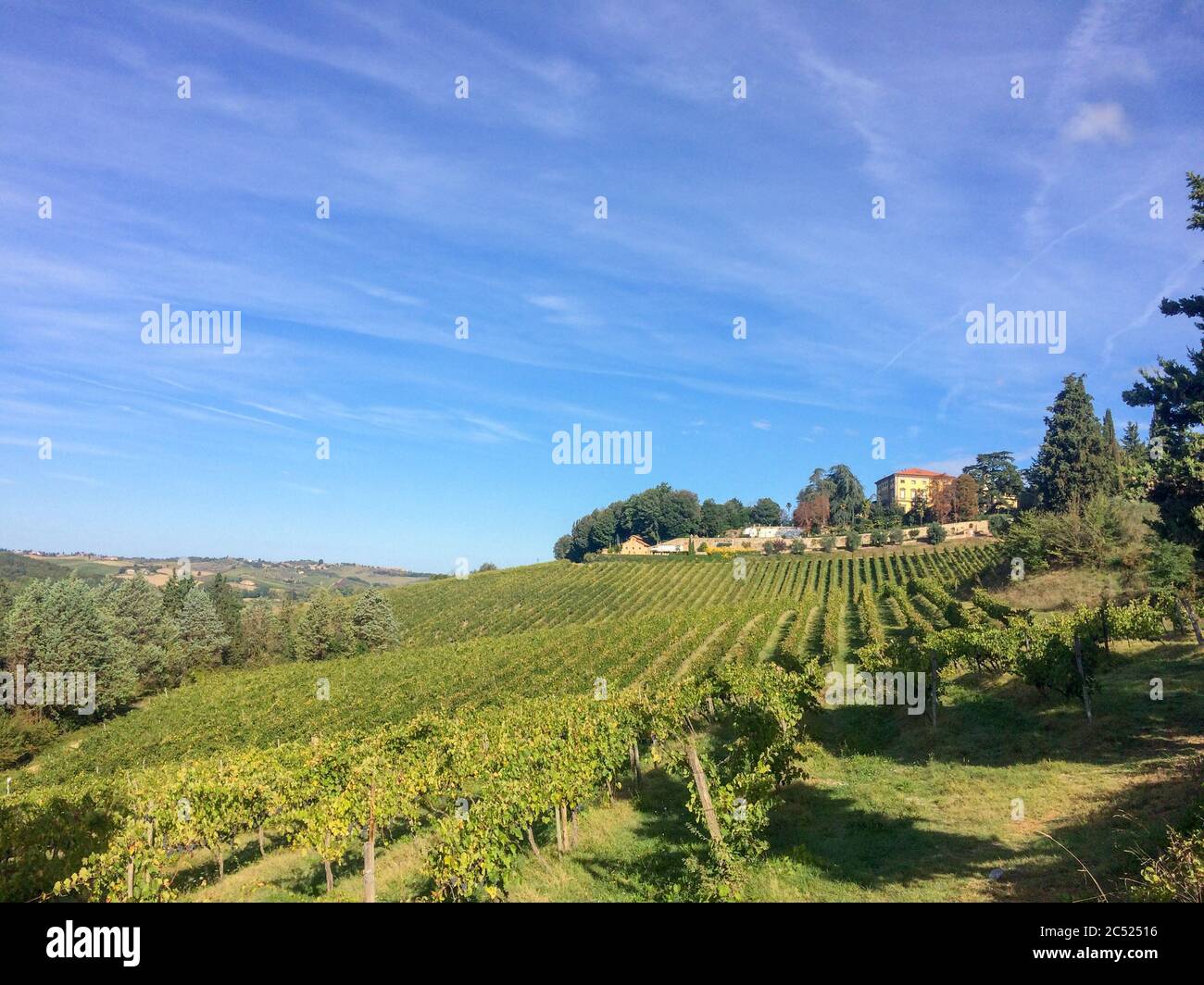 Toskana Landschaft In Der Nahe Sienas Auf Einem Weingut Stock Photo Alamy