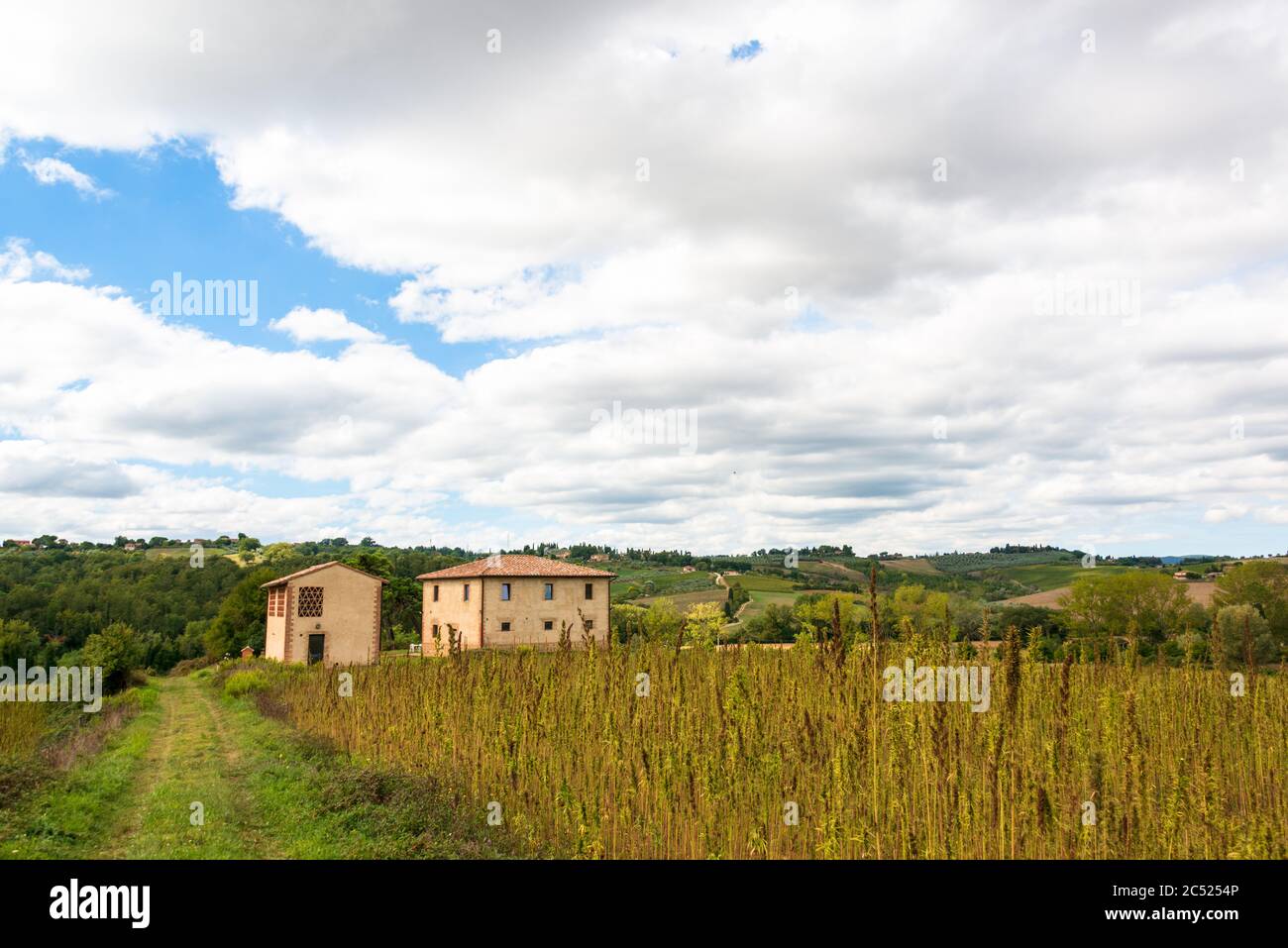 Toskanalandschaft auf einem Weingut nahe Siena Stock Photo