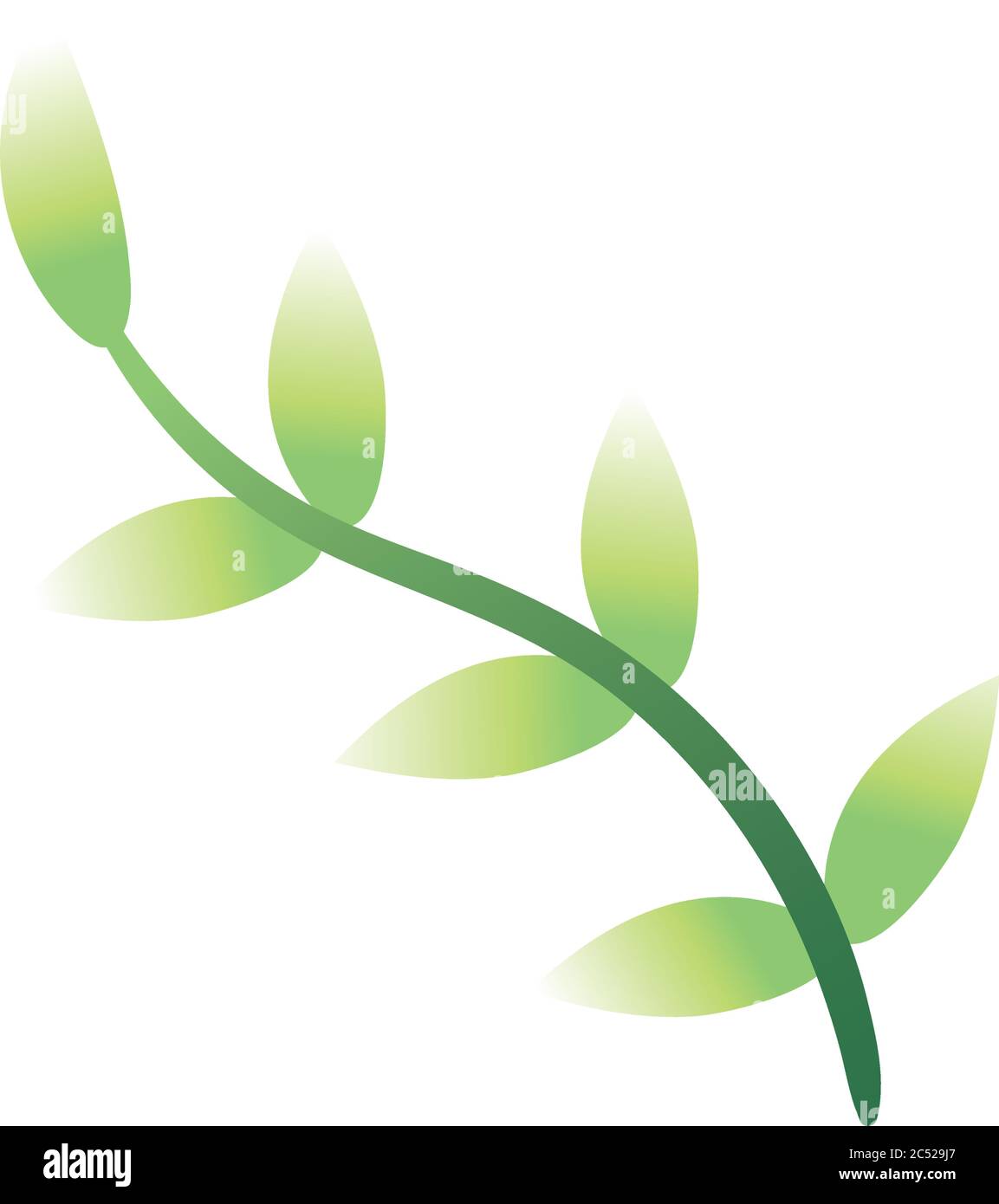 branch with leafs hand draw style icon vector illustration design Stock ...