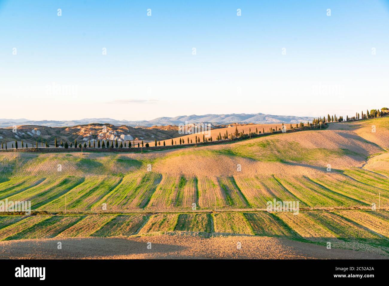 Landschaft der Crete Senesi, einem Getreideanbaugebiet mit karstigen Abschnitten. Hier im herbstlichen Abendlicht Stock Photo