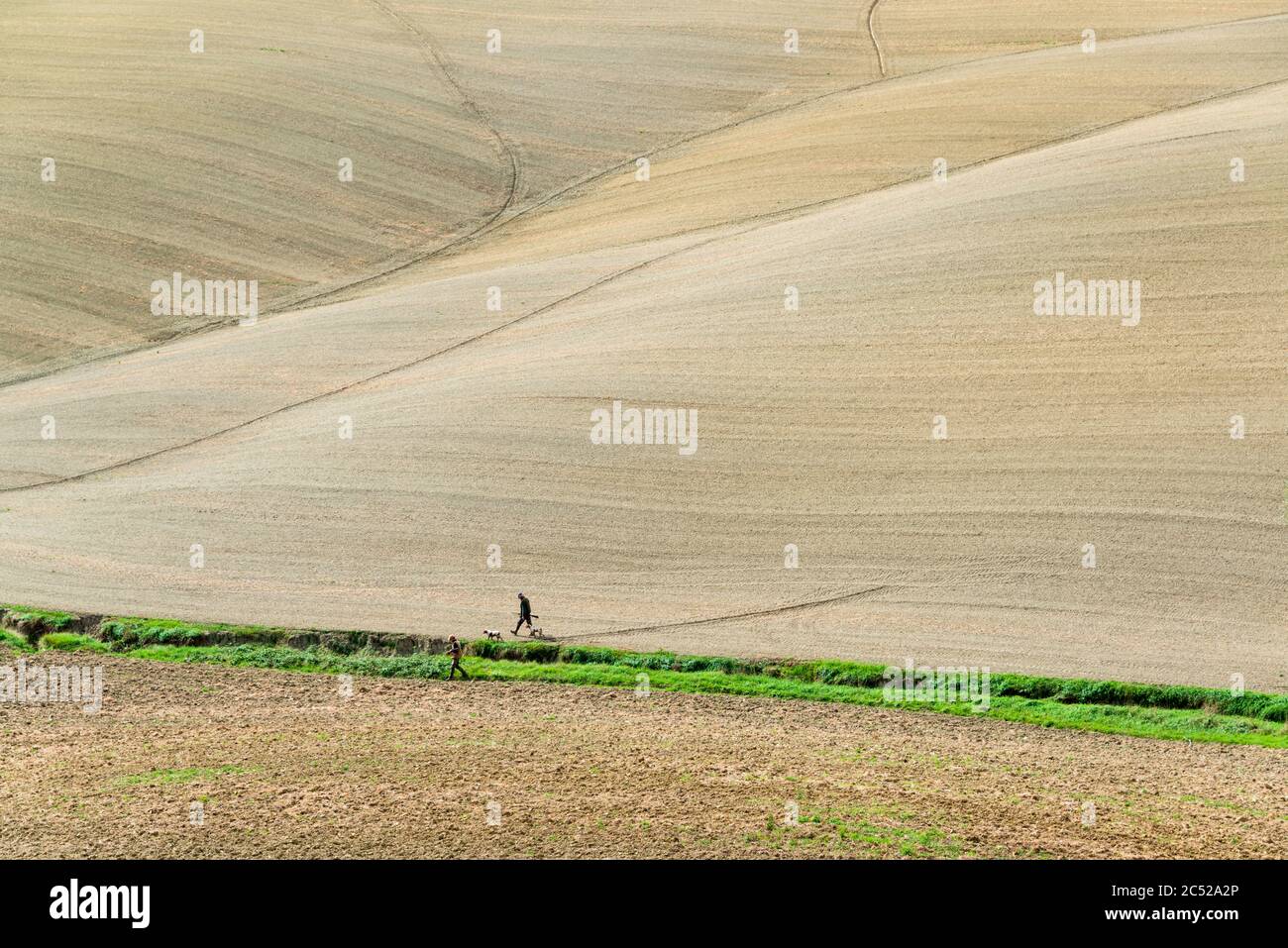 Die Crete Senesi südlich von Siena im Herbst. Nach der Ernte kommt der  erdige Charakter der Landschaft durch die verschiedenen Farben des Ackerbodens Stock Photo