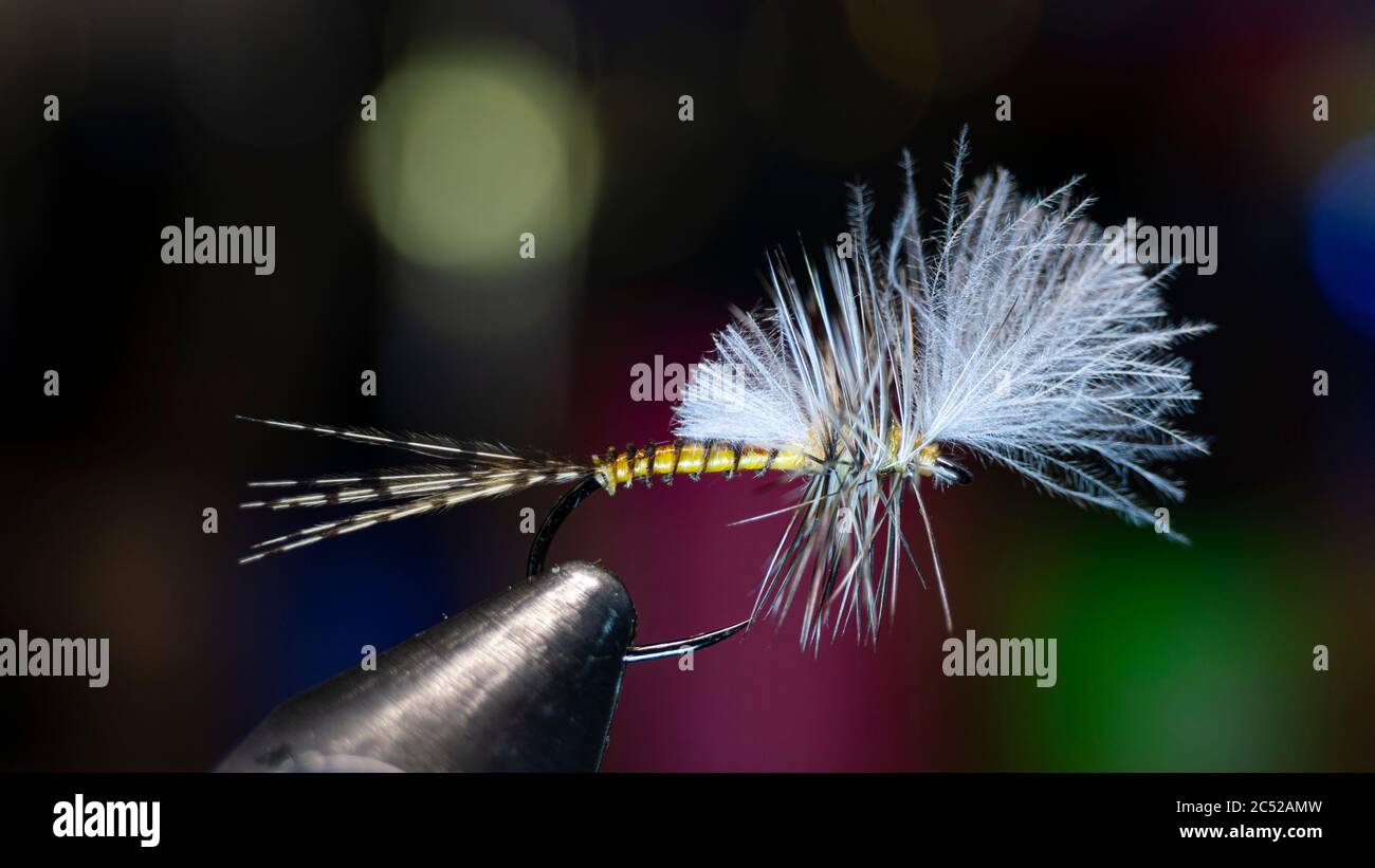 Fishing Dry Fly Stock Photo Alamy