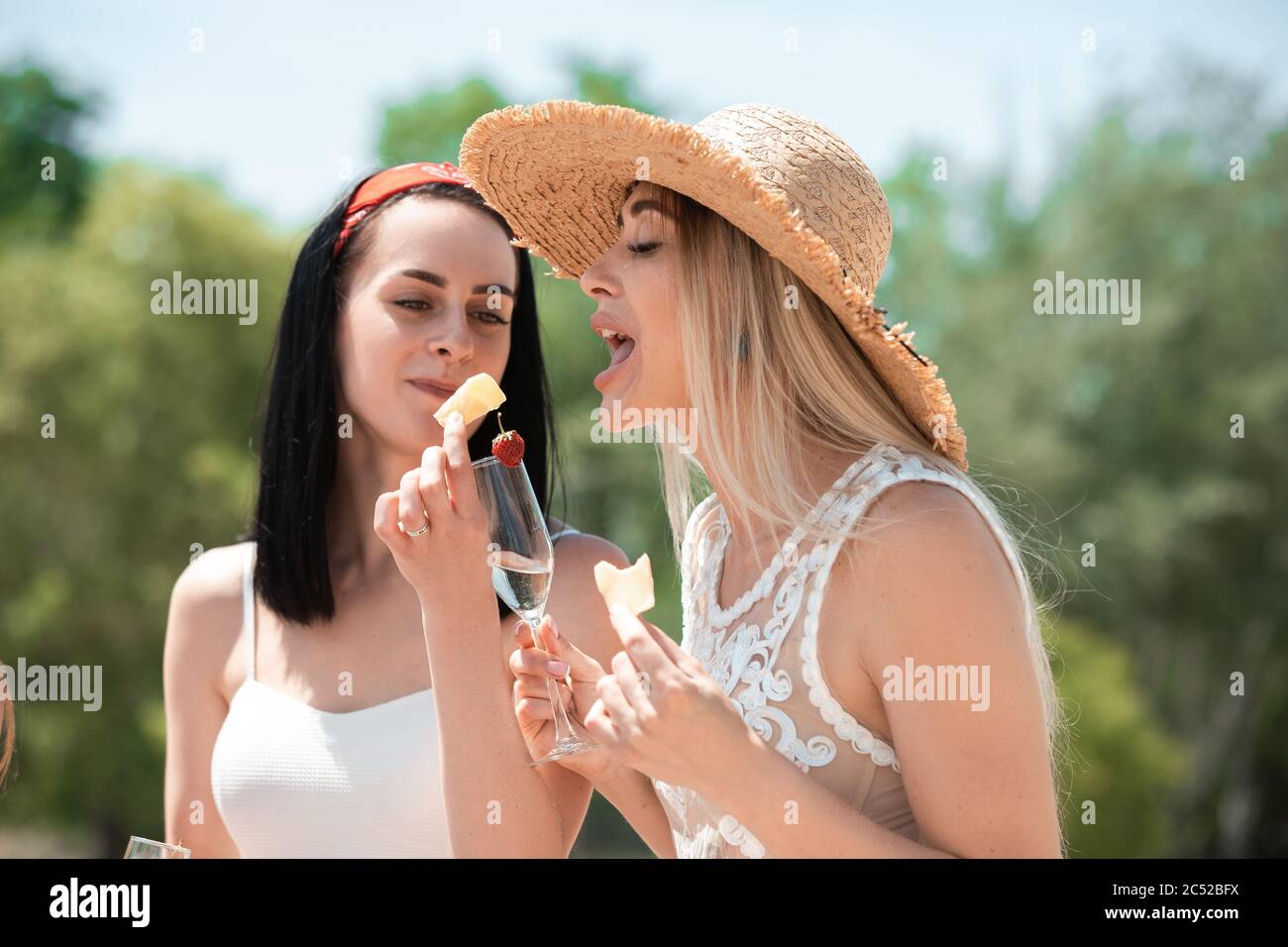 Cheese and honey. Seasonal feast at beach resort. Women, friends on picnic, vacation celebrating, resting, having fun in sunny summer day. Festive time, wellness, holiday, party. Having snack. Stock Photo