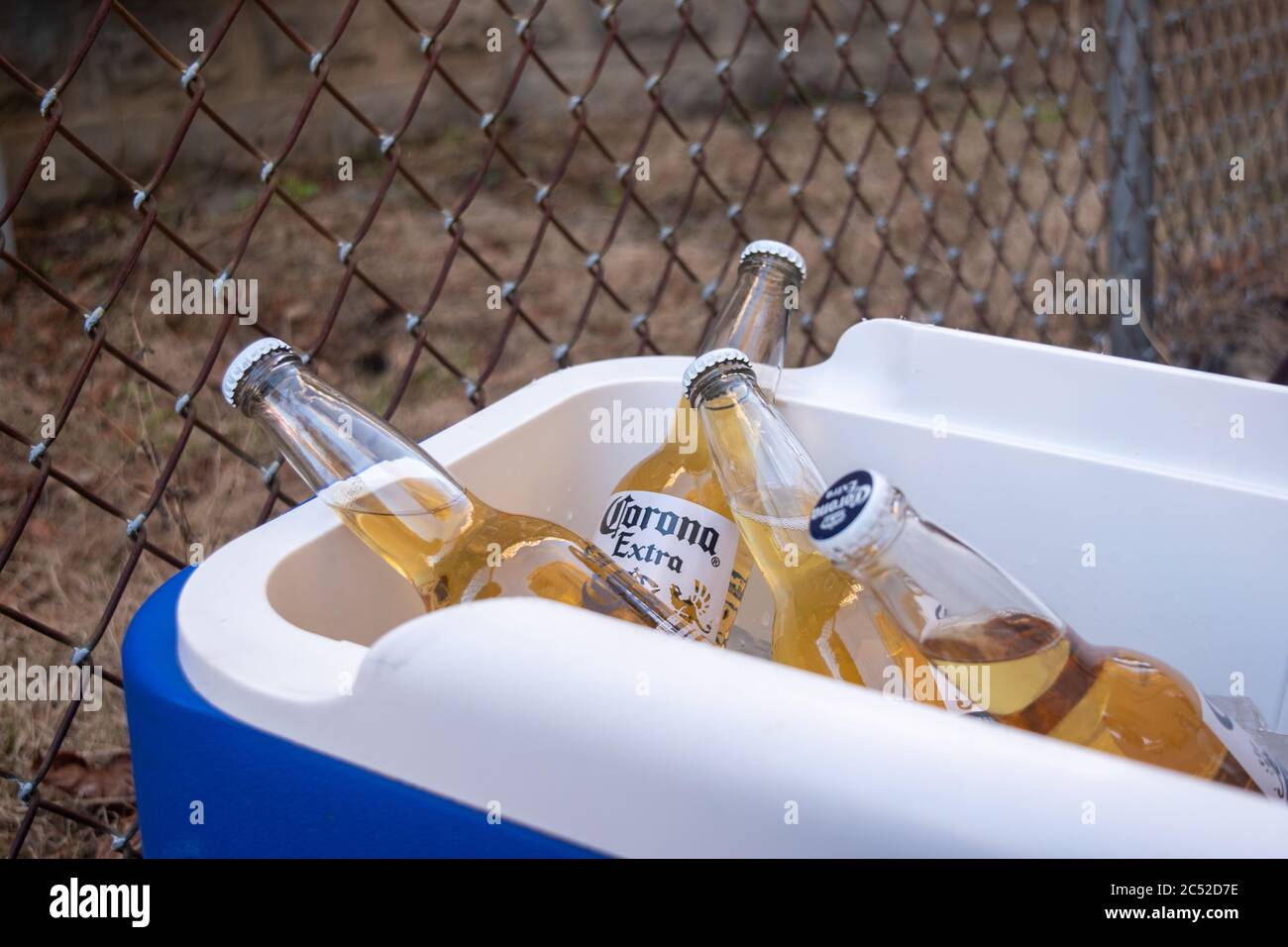 Somerville, MA / USA - May 26 2017: Ice-cold glass bottles of Corona Extra beer in a blue cooler. Stock Photo