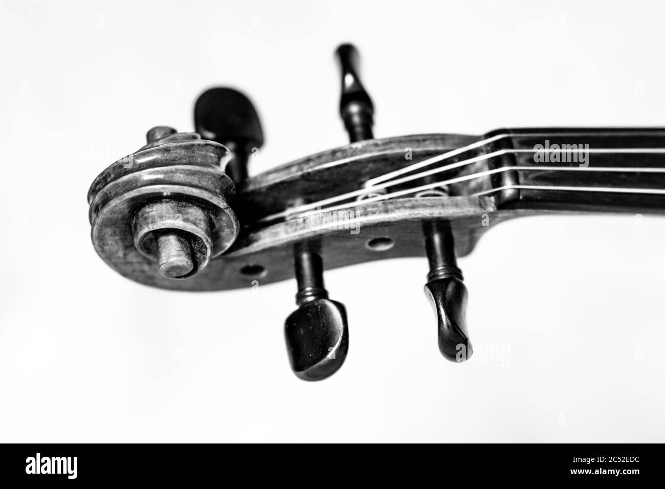 Artistic close up of violin scroll, strings and pegs in black and white