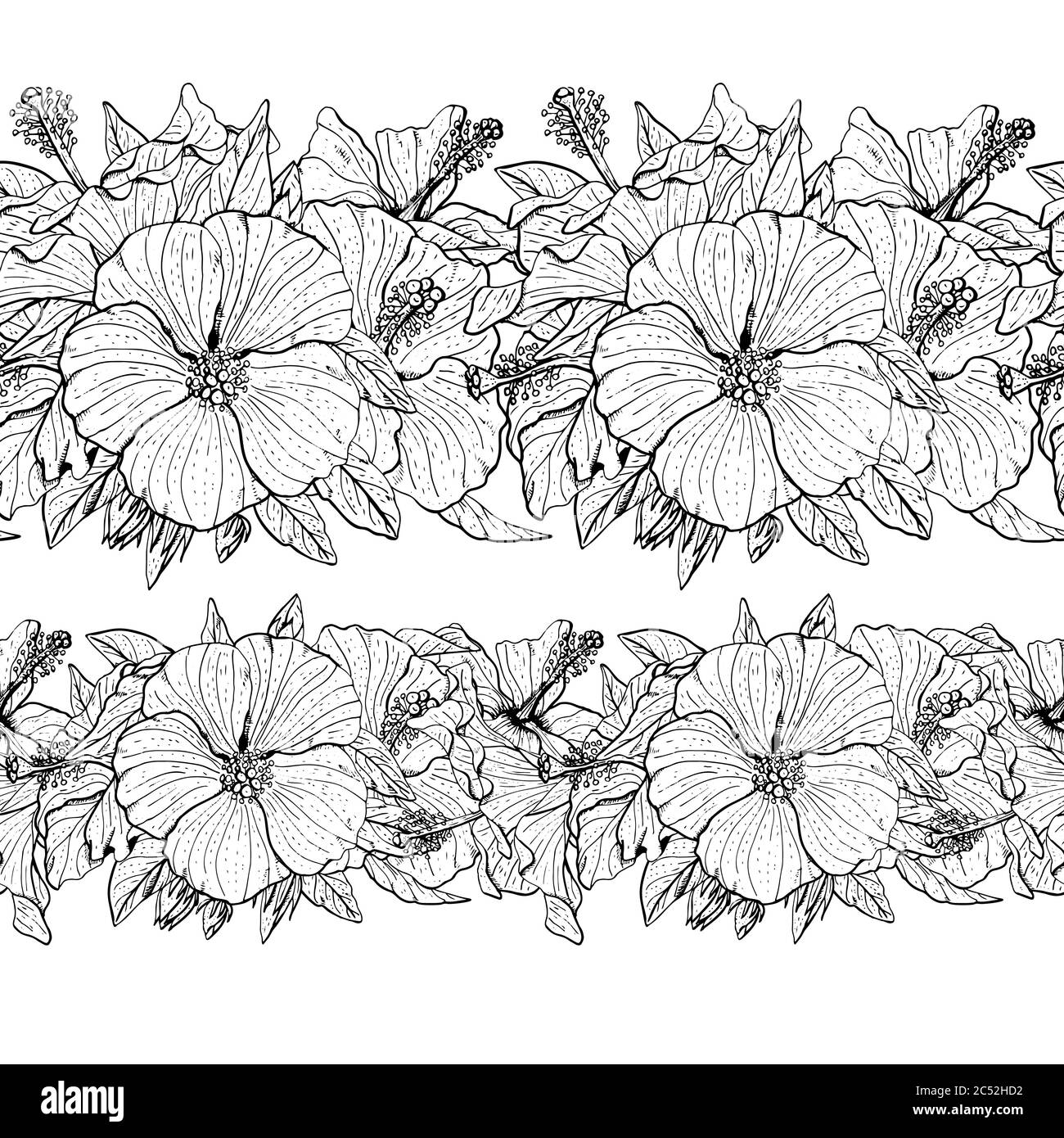 Hand drawn two colorful and monochrome hibiscus flowers seamless ...
