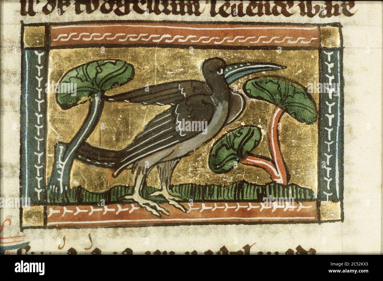 Isopigis - Der naturen bloeme - Jacob van Maerlant - KB KA 16 - 091v b1 ...
