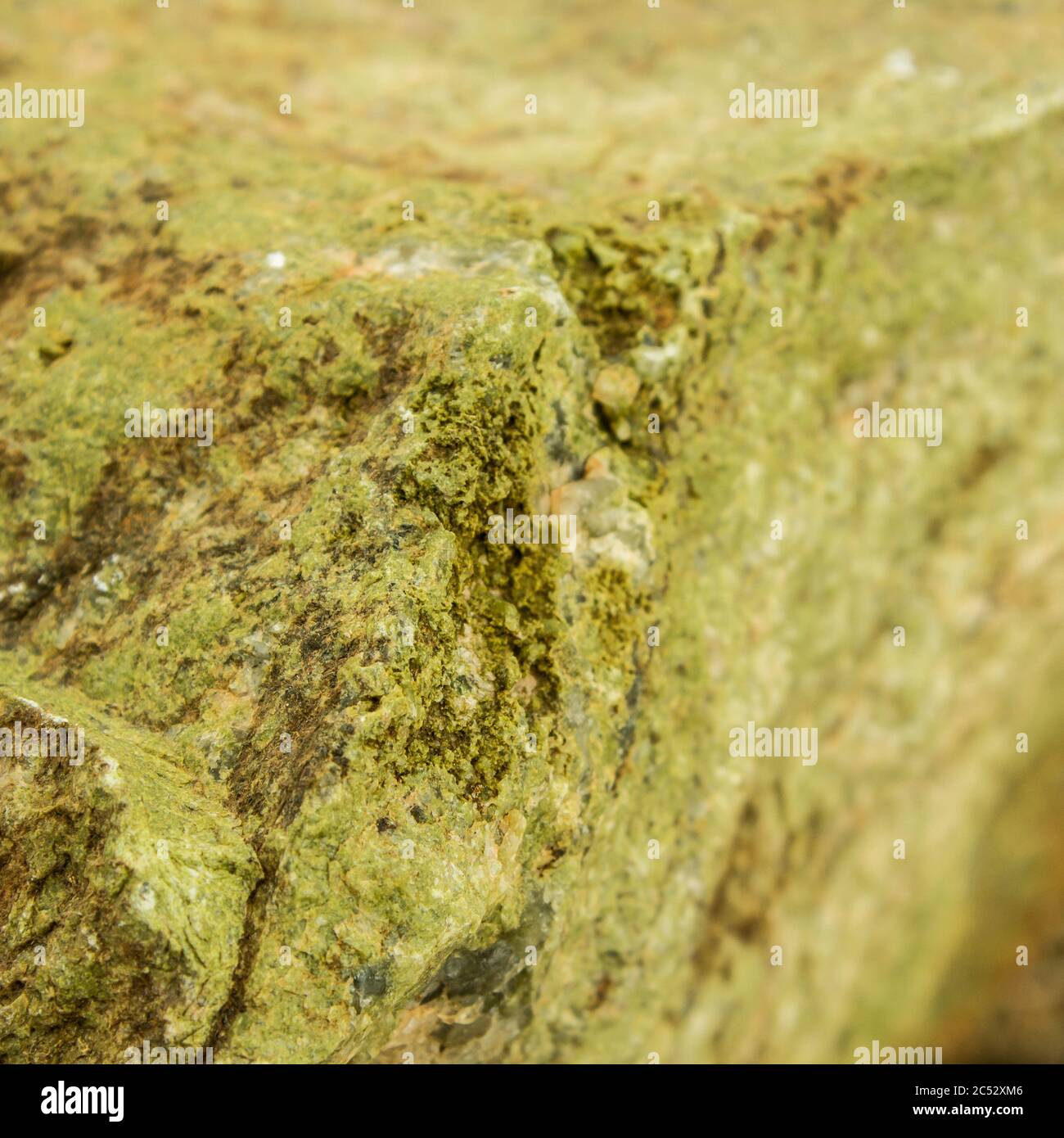 Close-up of the olive green, massive Epidote Stock Photo