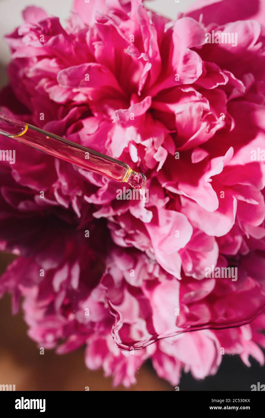 Pipette with cosmetic oil next to a peony on a mirror Stock Photo