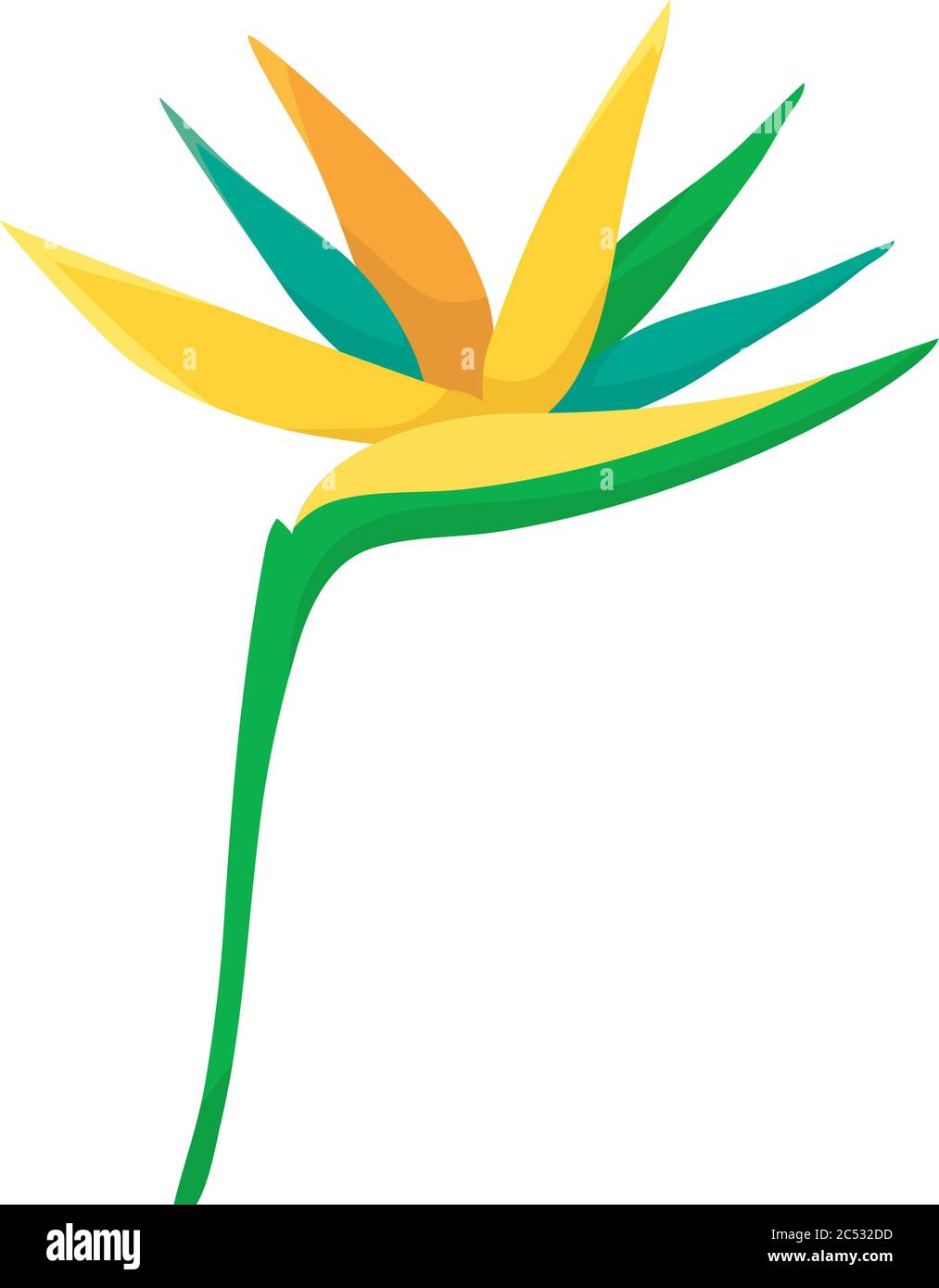 bird of paradise flower icon over white background, colorful design