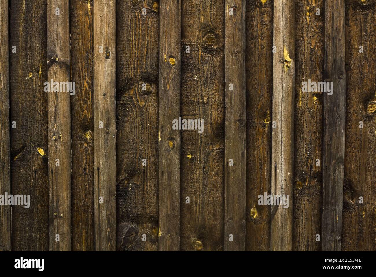 The texture of the tree is dark brown with veins and knots. Stock Photo