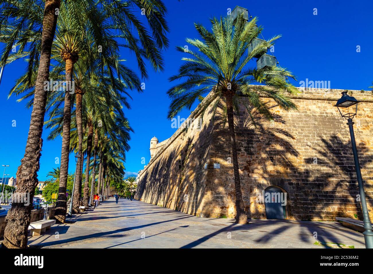 Pedestrian street lined with palm trees next to the Es Baluard Museu d'Art Contemporani de Palma, Ronda Migjorn, Palma, Mallorca, Spain Stock Photo