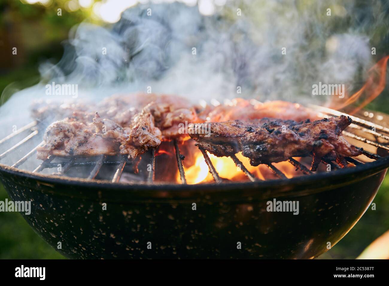 Grilling chicken meat on barbecue at garden during summer day. Stock Photo