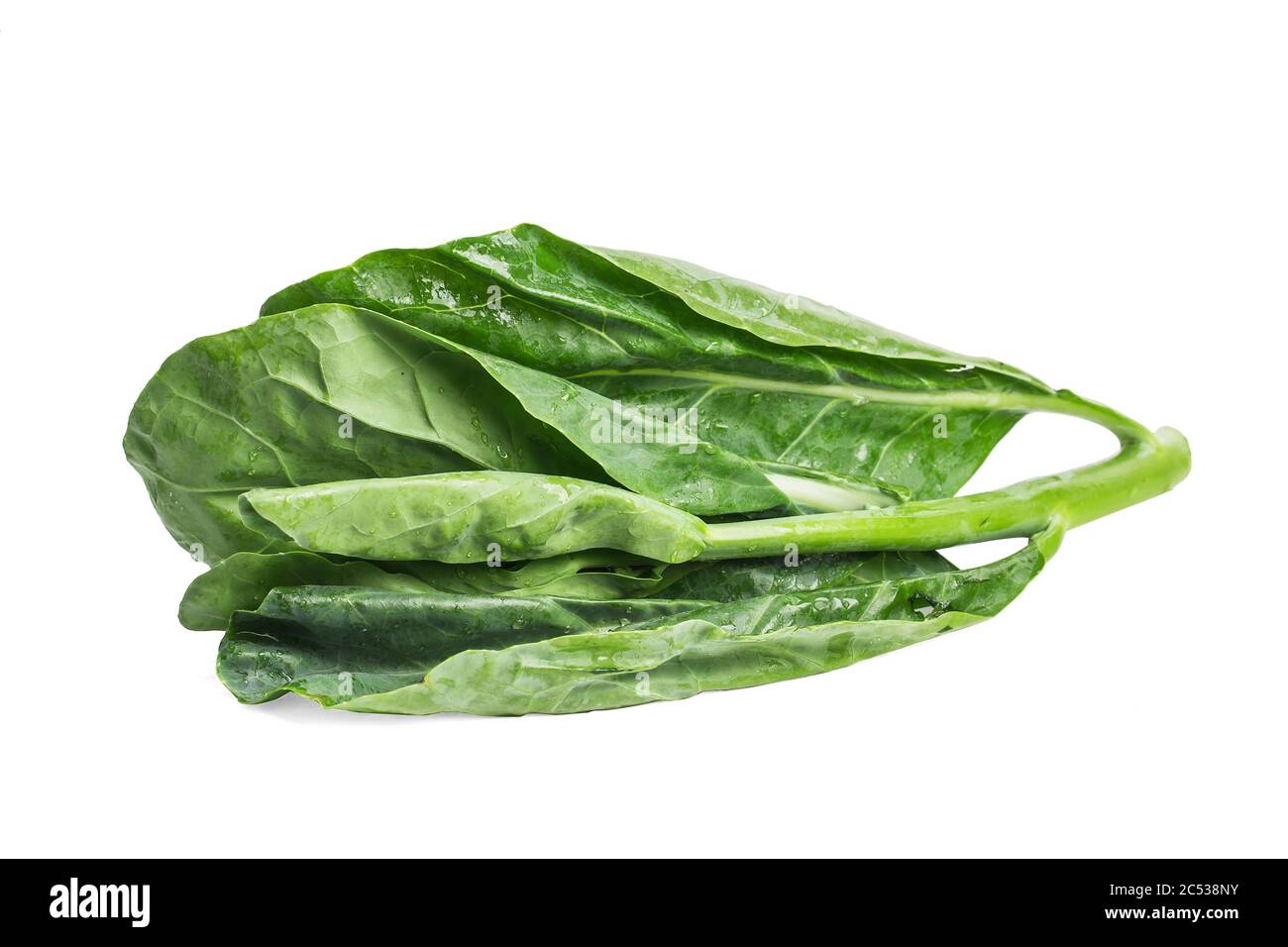 Chinese kale vegetable isolated on white background Stock Photo Alamy