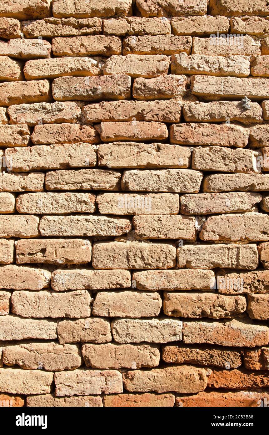Walling of the Inwa (Ava). Myanmar (Burma) Stock Photo