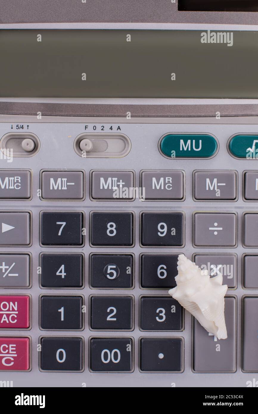 Close-up calculator and little seashell on it. Stock Photo