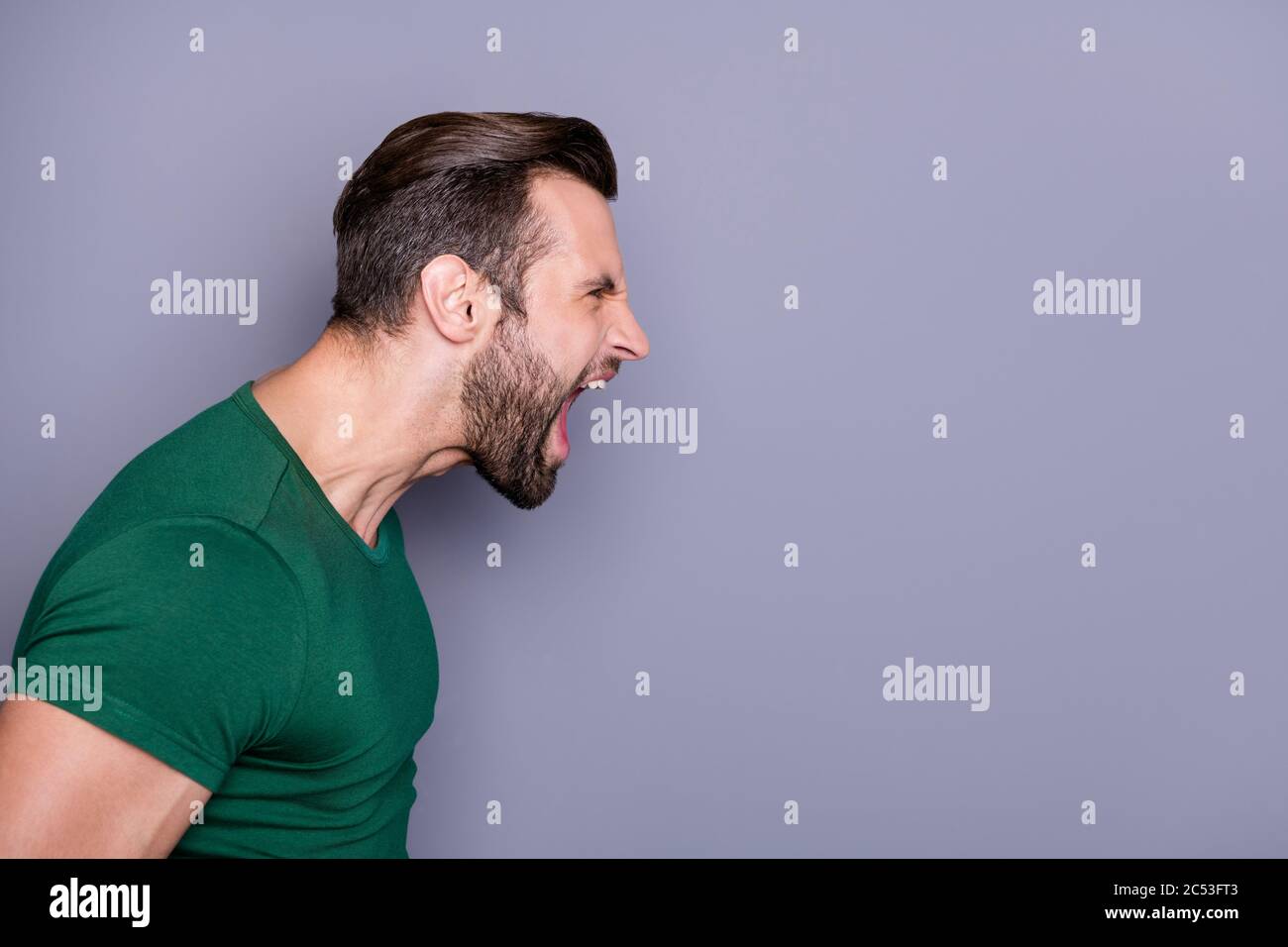 Profile photo of attractive crazy guy neat hairdo bristle yelling furious side empty space fighting with girlfriend nervous bad mood wear casual green Stock Photo