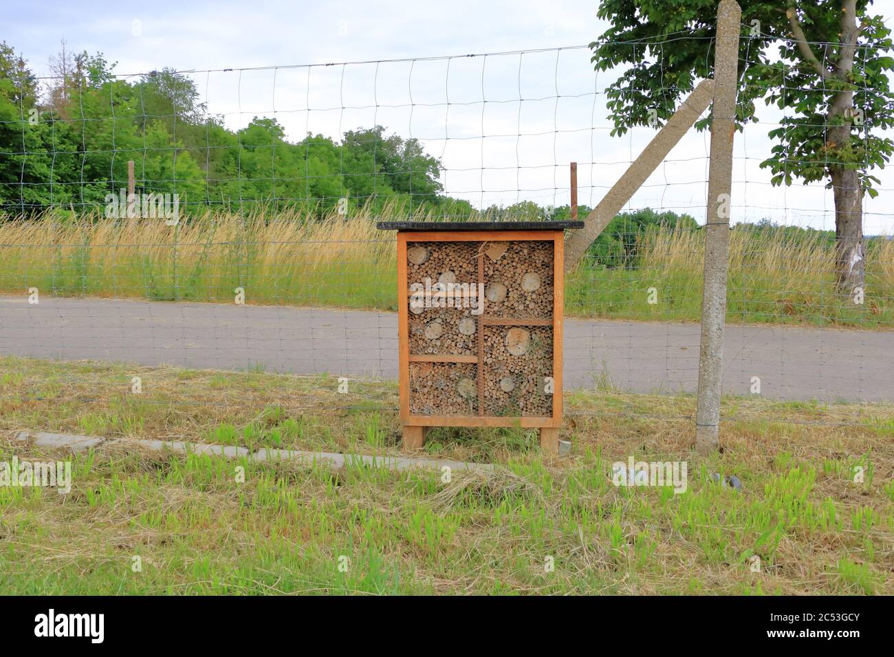 a wild bee and insect shelter hotel Stock Photo - Alamy