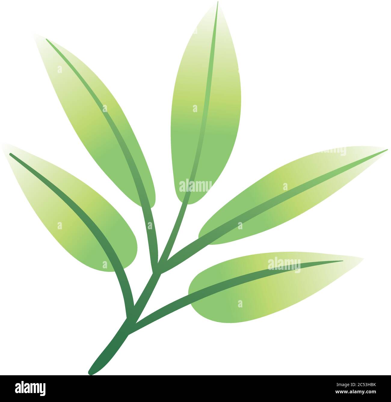 branch with leafs hand draw style icon vector illustration design Stock ...