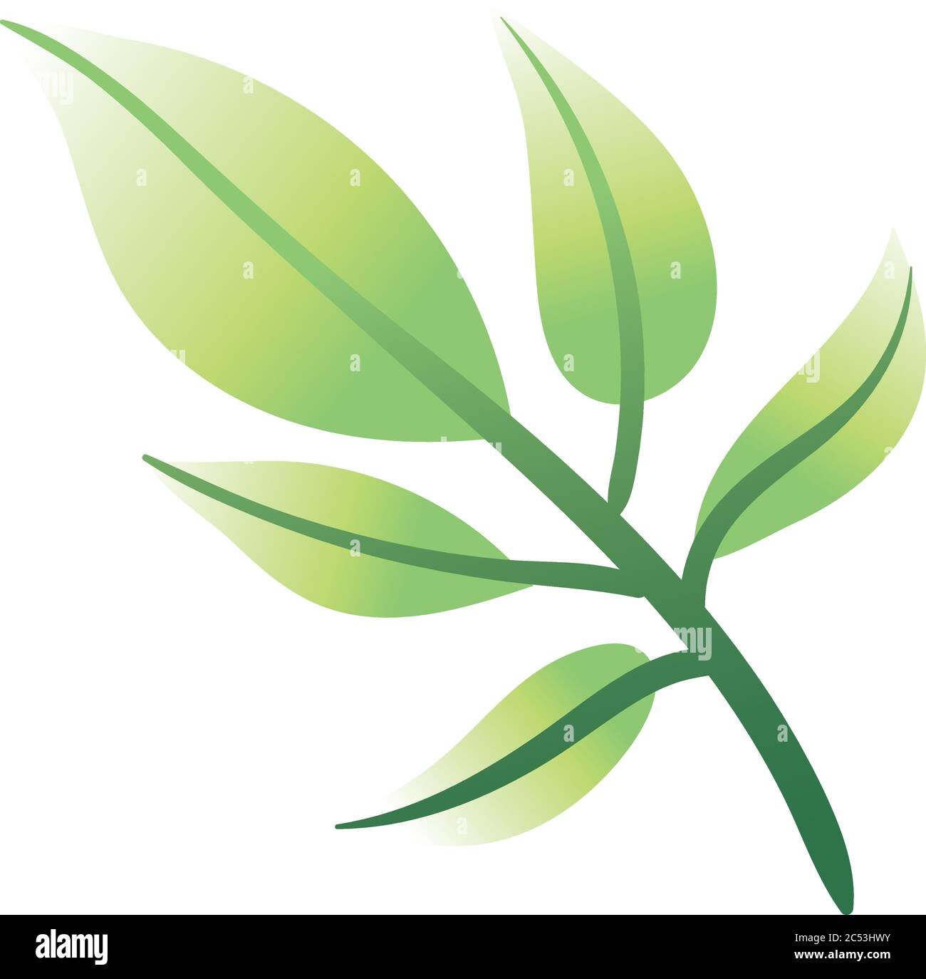 branch with leafs hand draw style icon vector illustration design Stock ...