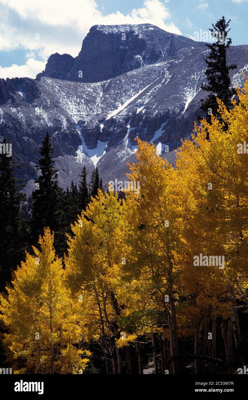Great Basin National Park and Mount Moriah Wilderness, Snake Range