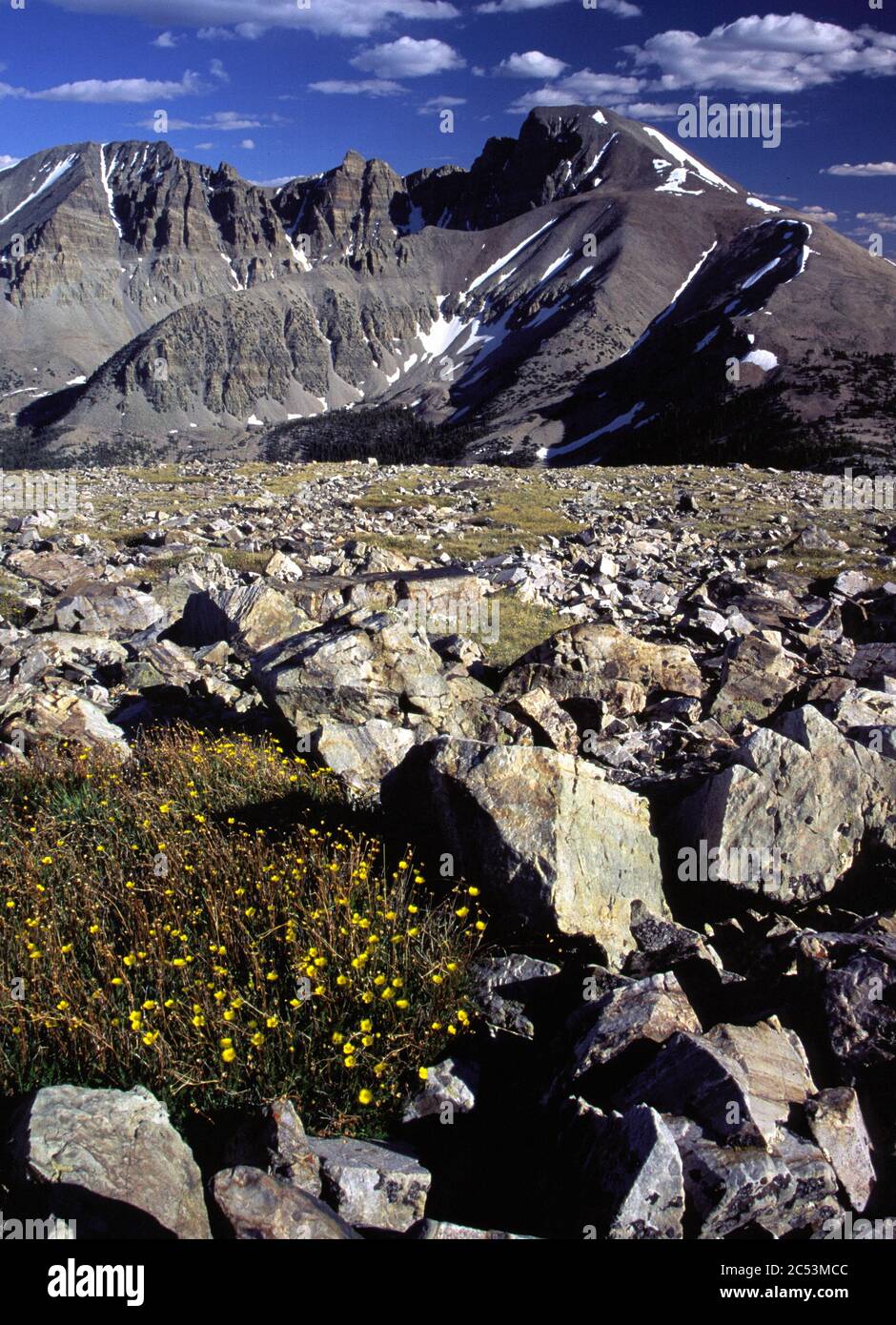 Great Basin National Park and Mount Moriah Wilderness, Snake Range, Nevada Stock Photo
