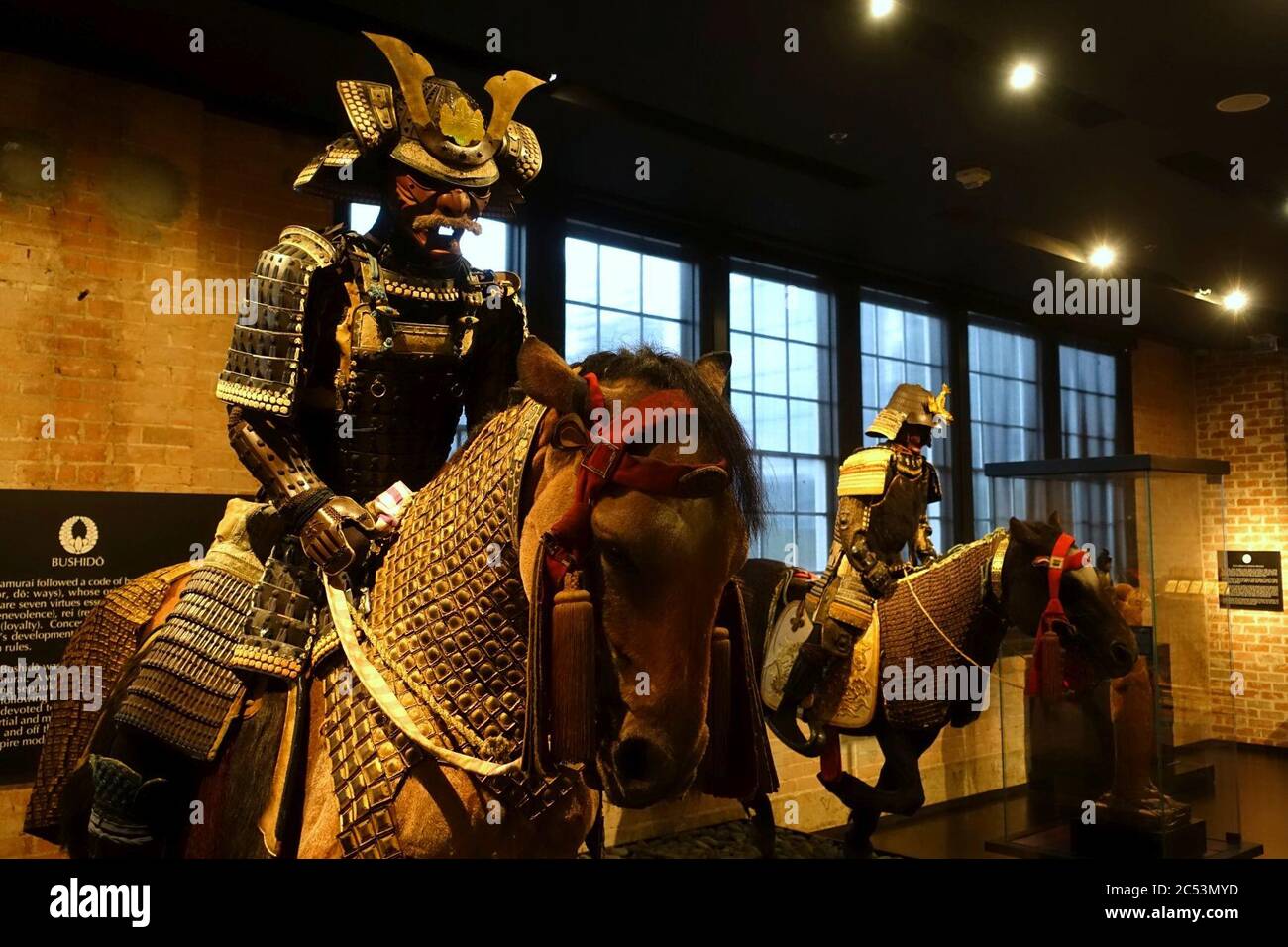 Interior view - The Ann and Gabriel Barbier-Mueller Museum Stock Photo - Alamy