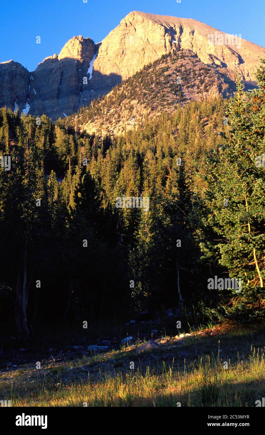 Great Basin National Park and Mount Moriah Wilderness, Snake Range