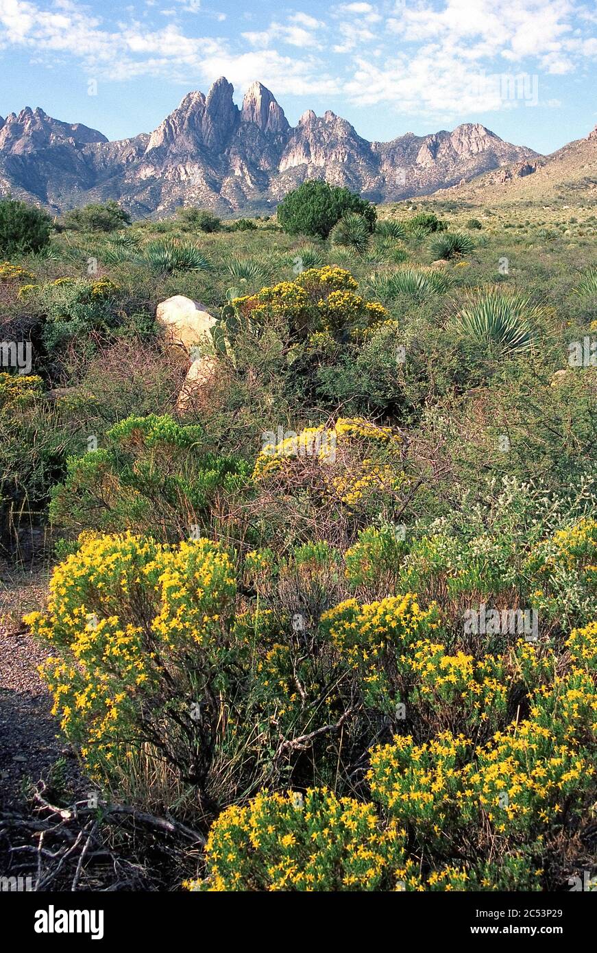 Organ Rock Mountains, New Mexico Stock Photo