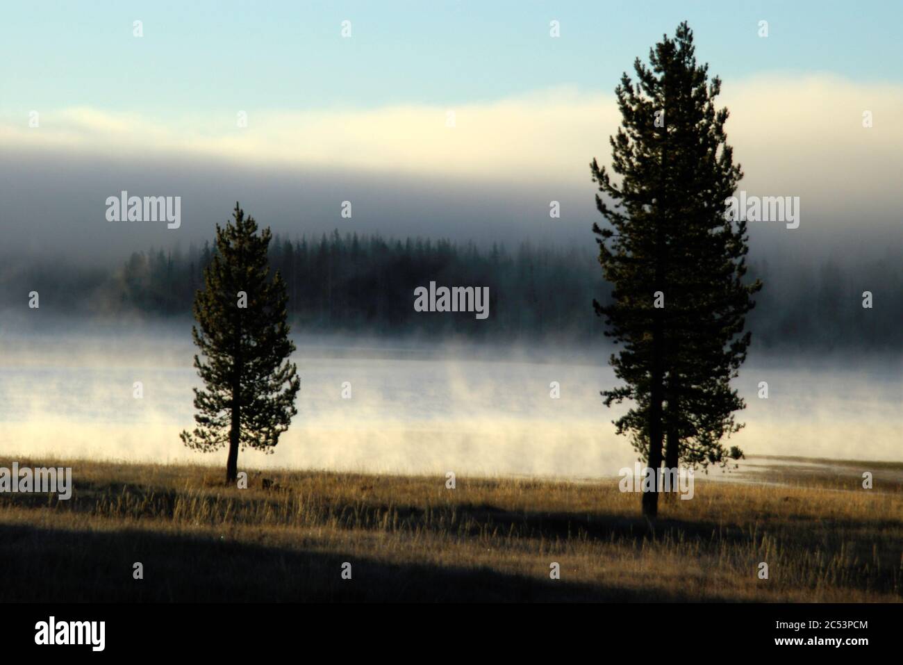 Morning fog, Medicine Lake, California Stock Photo