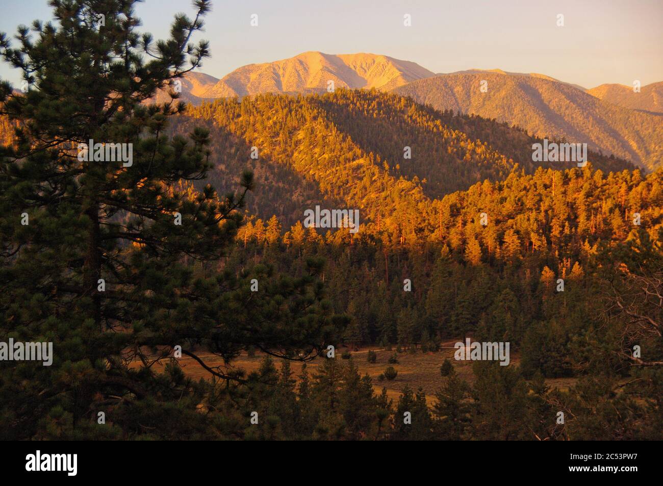 Sunrise, San Bernardino Mountains, California Stock Photo