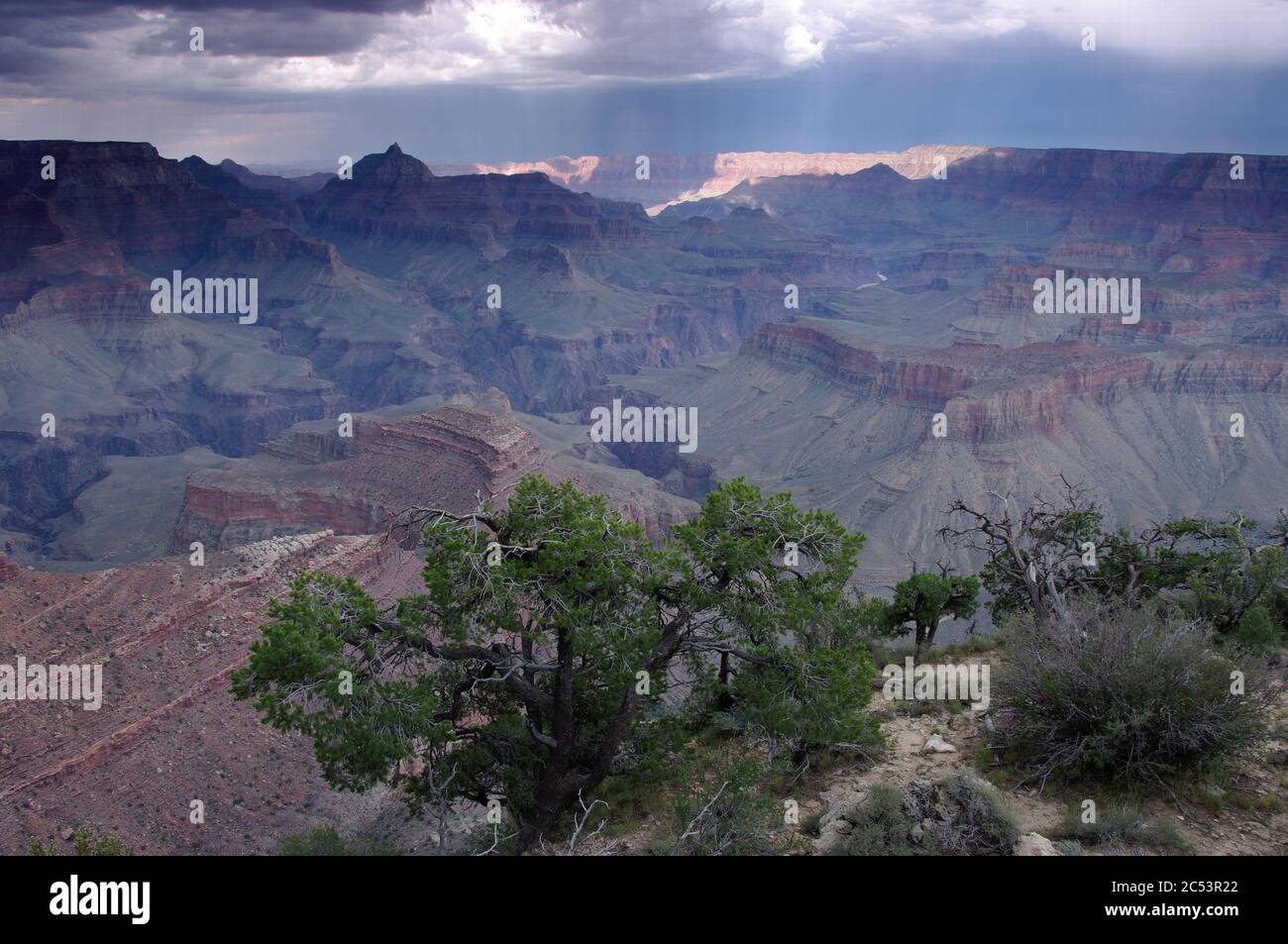 Grand Canyon from near Shoshone Point Stock Photo