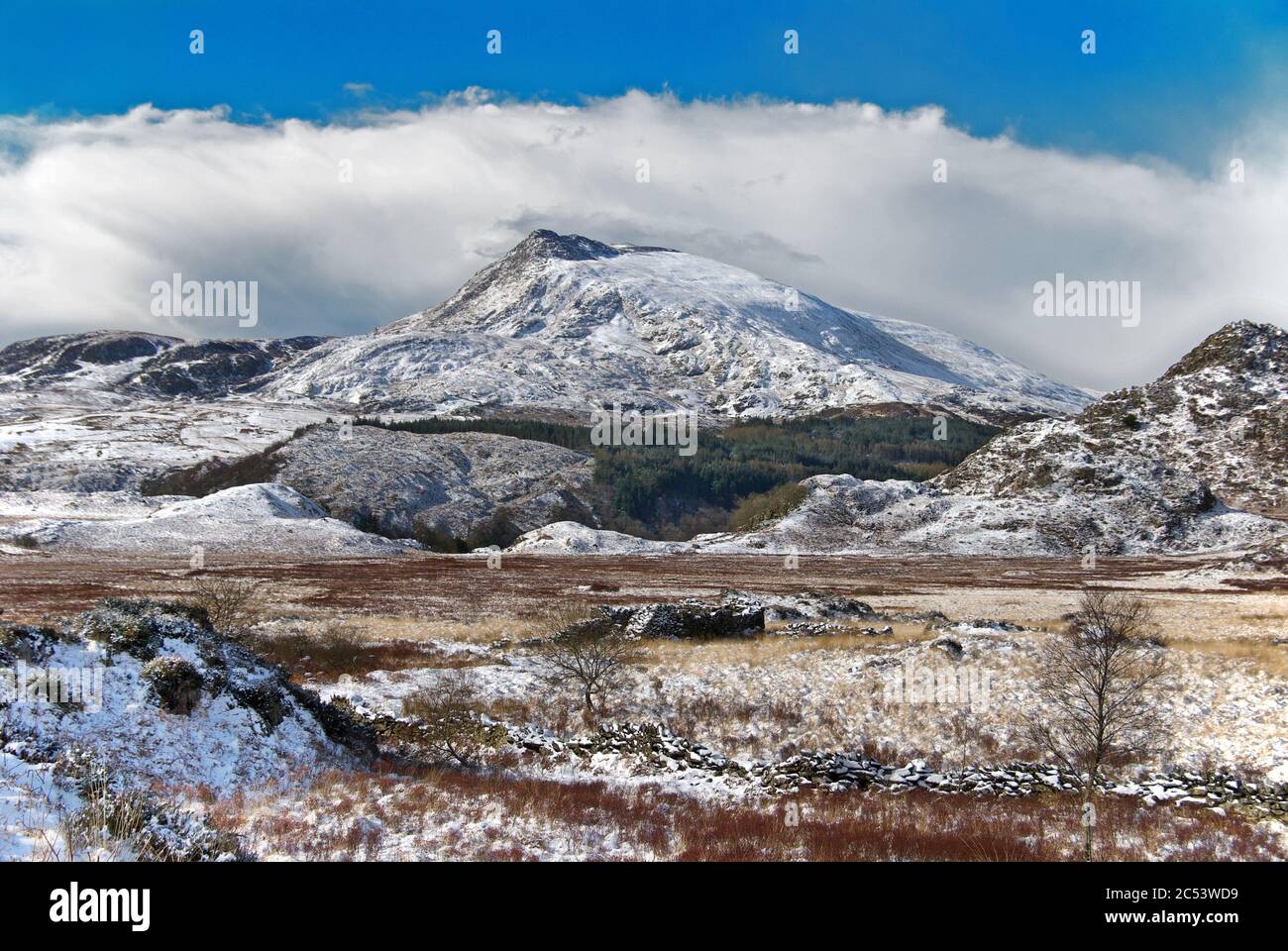 Moel Siabod is a mountain in the Snowdonia National Park in North Wales. It reaches a height of about 800 m. Stock Photo