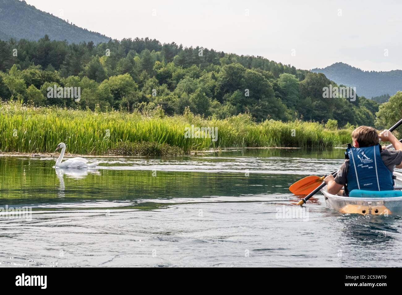 Young people enjoying a kayaking experience on the calm clear waters of the river Gacka, Otocac, Lika, Croatia Stock Photo