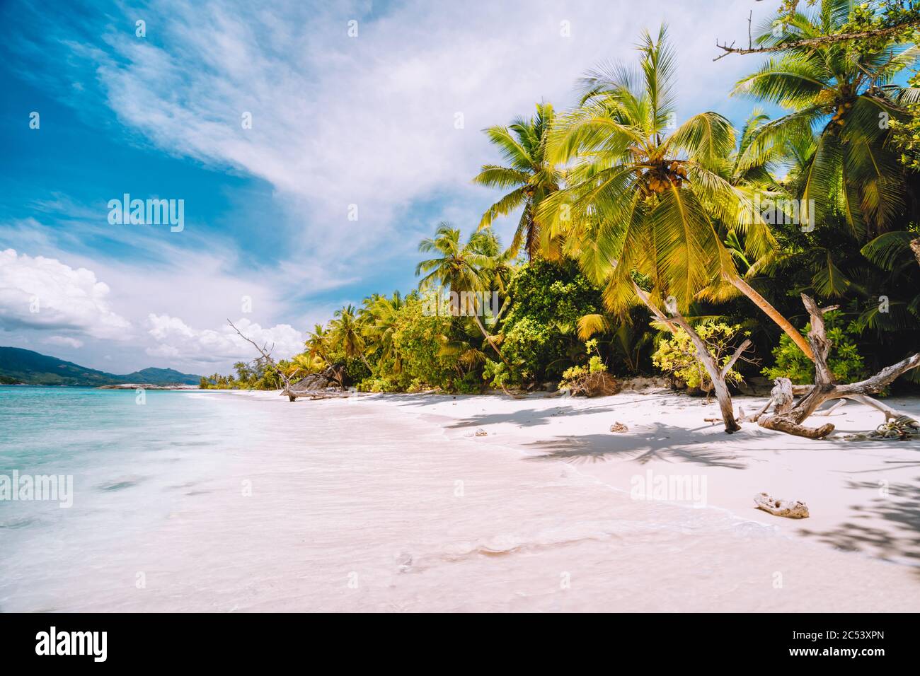 Vacation holiday background exotic wallpaper. Sunny day on paradise beach. White sand, palm trees and blue ocean lagoon. Stock Photo