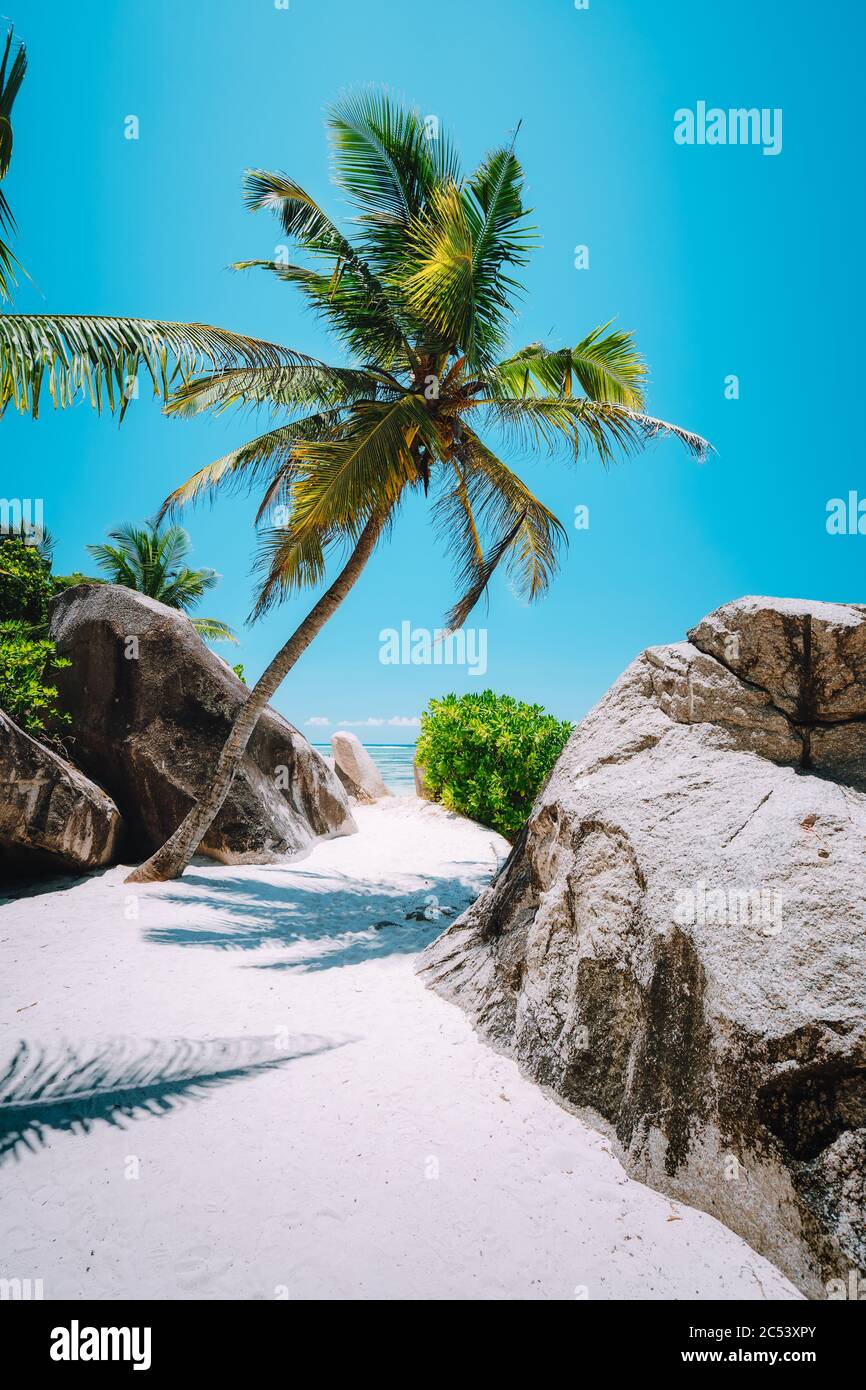 Palm trees on Anse Source d'Argent, La Digue island, Seychelles. Vacation holiday exotic location concept. Stock Photo