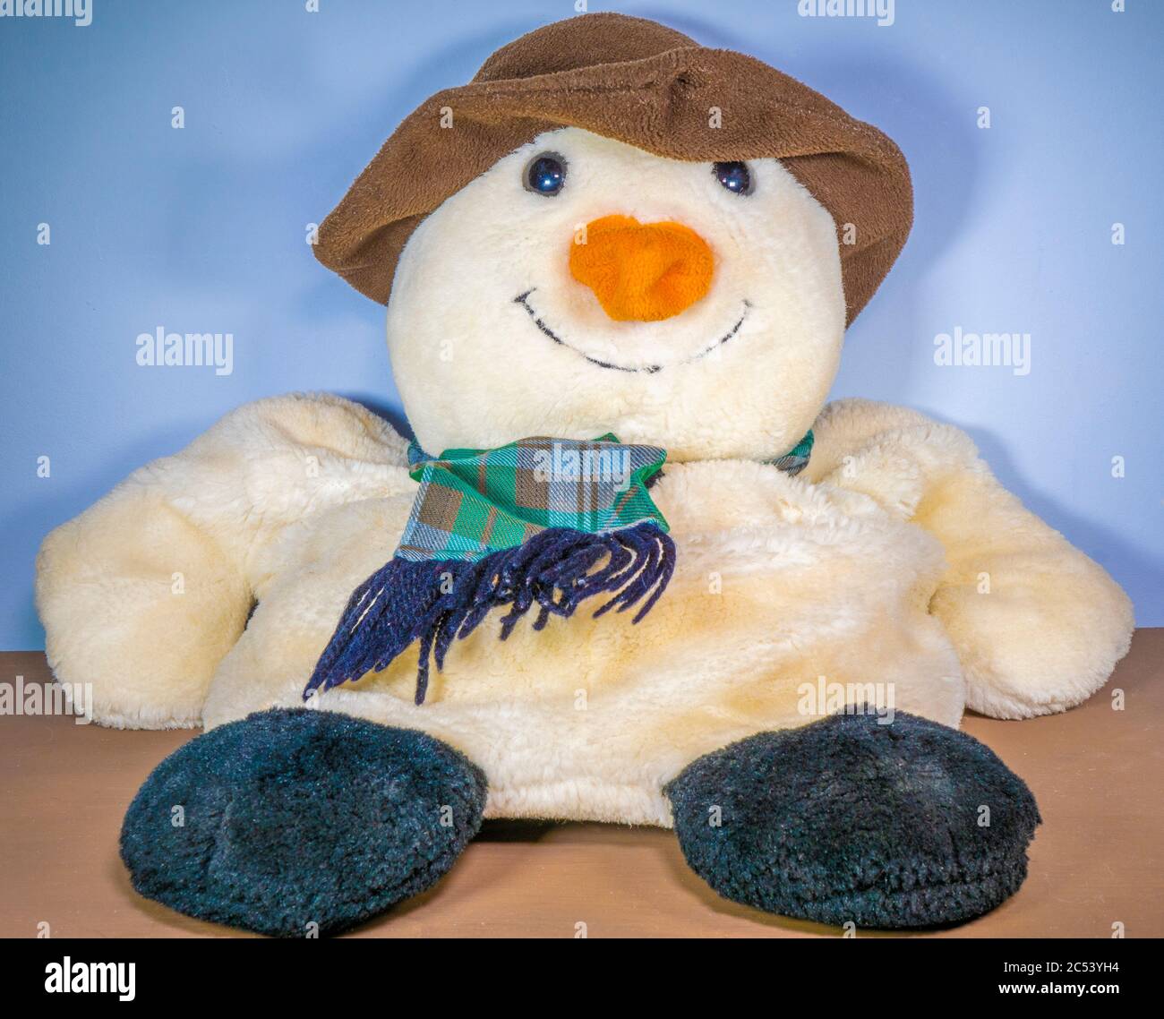 hot water bottle cuddly toy