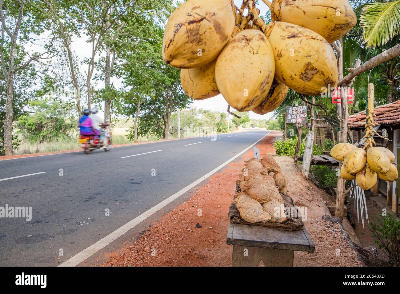 Coconut at a roadside sales stand in Sri Lanka Stock Photo Alamy