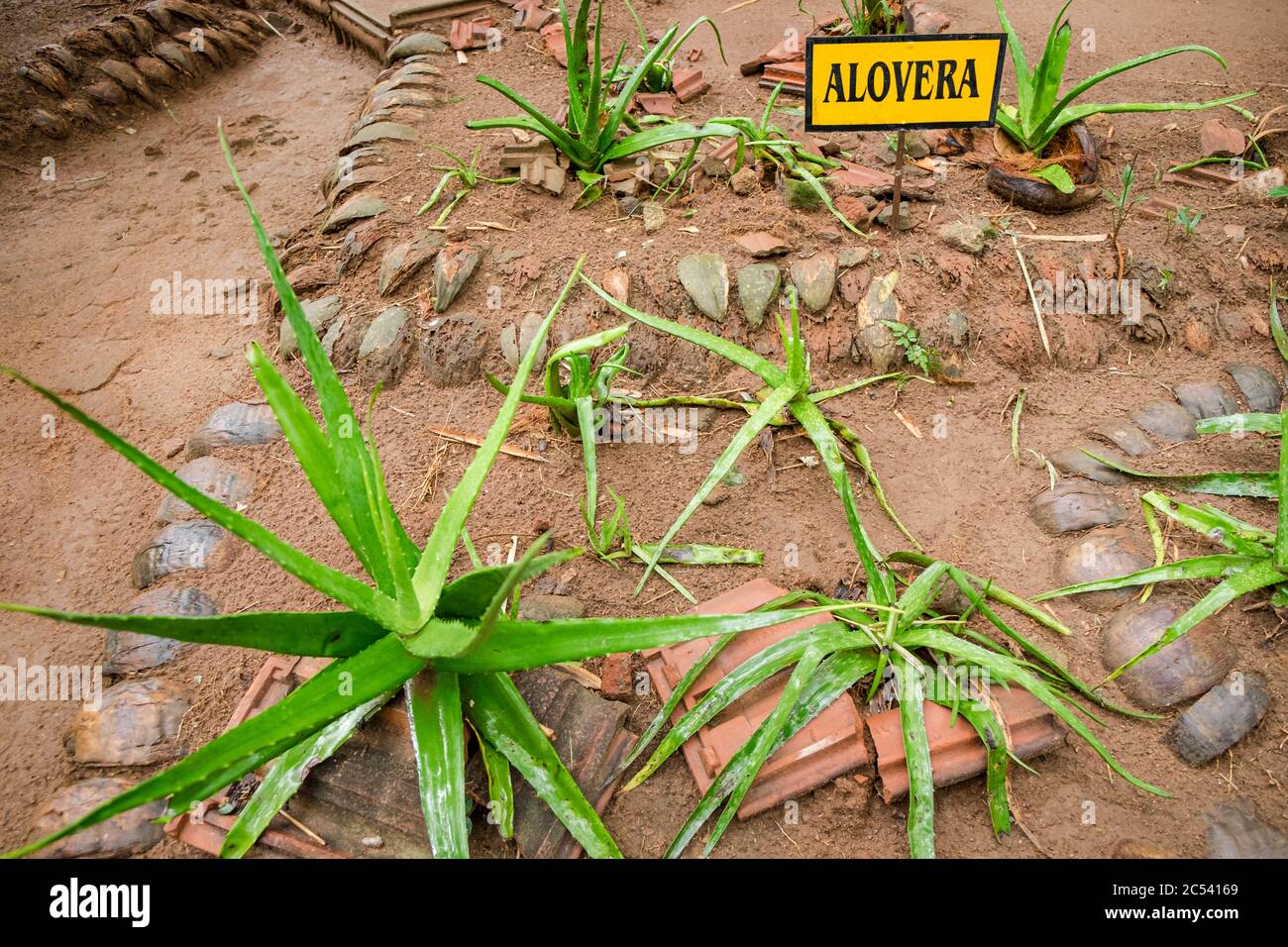 propolis aloe vera Forever Aloe Propolis Creme  Reichhaltige Pflege fr trockene Haut   4everaloevera