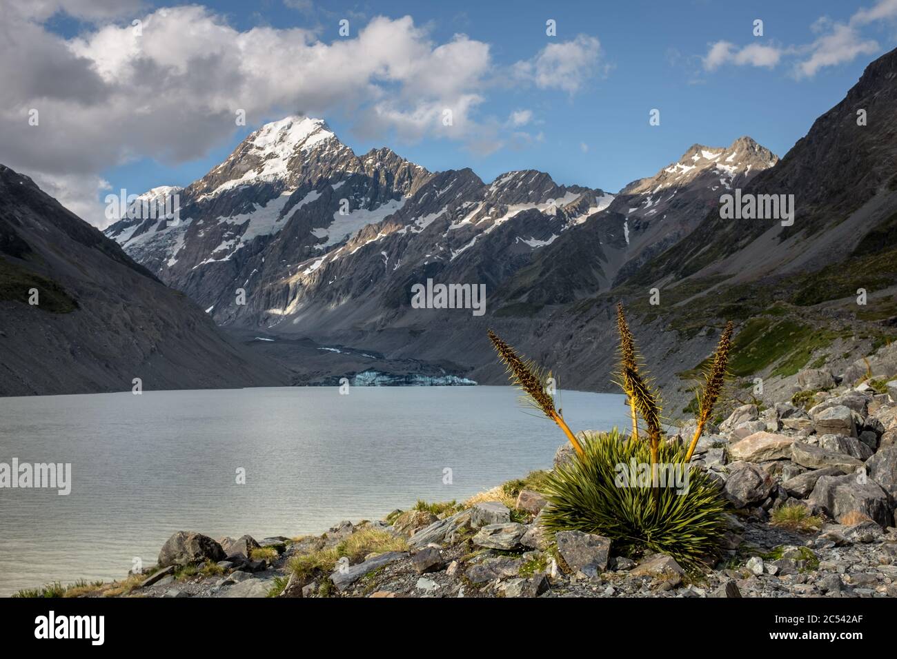 Mount Cook towering above Hooker Lake and Hooker Glacier Stock Photo