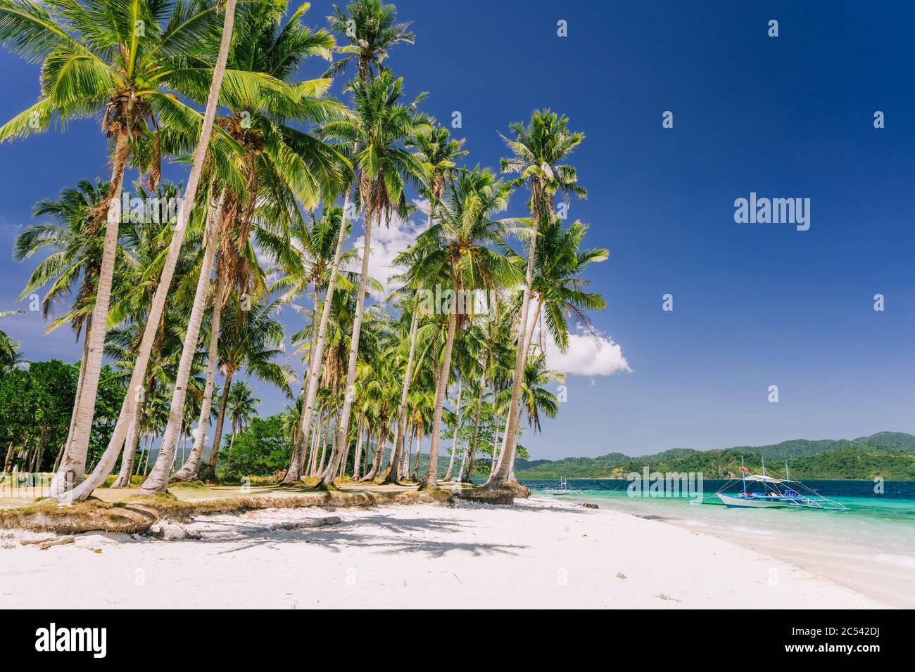 Vacation holiday feeling. Palawan most famous touristic spots. Palm trees and lonely island hopping tour boat on Ipil beach of tropical Pinagbuyutan, Stock Photo