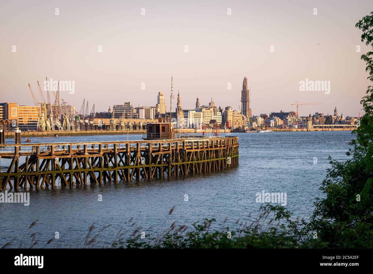 Old wooden pier in front of the skyline of Antwerp. Stock Photo