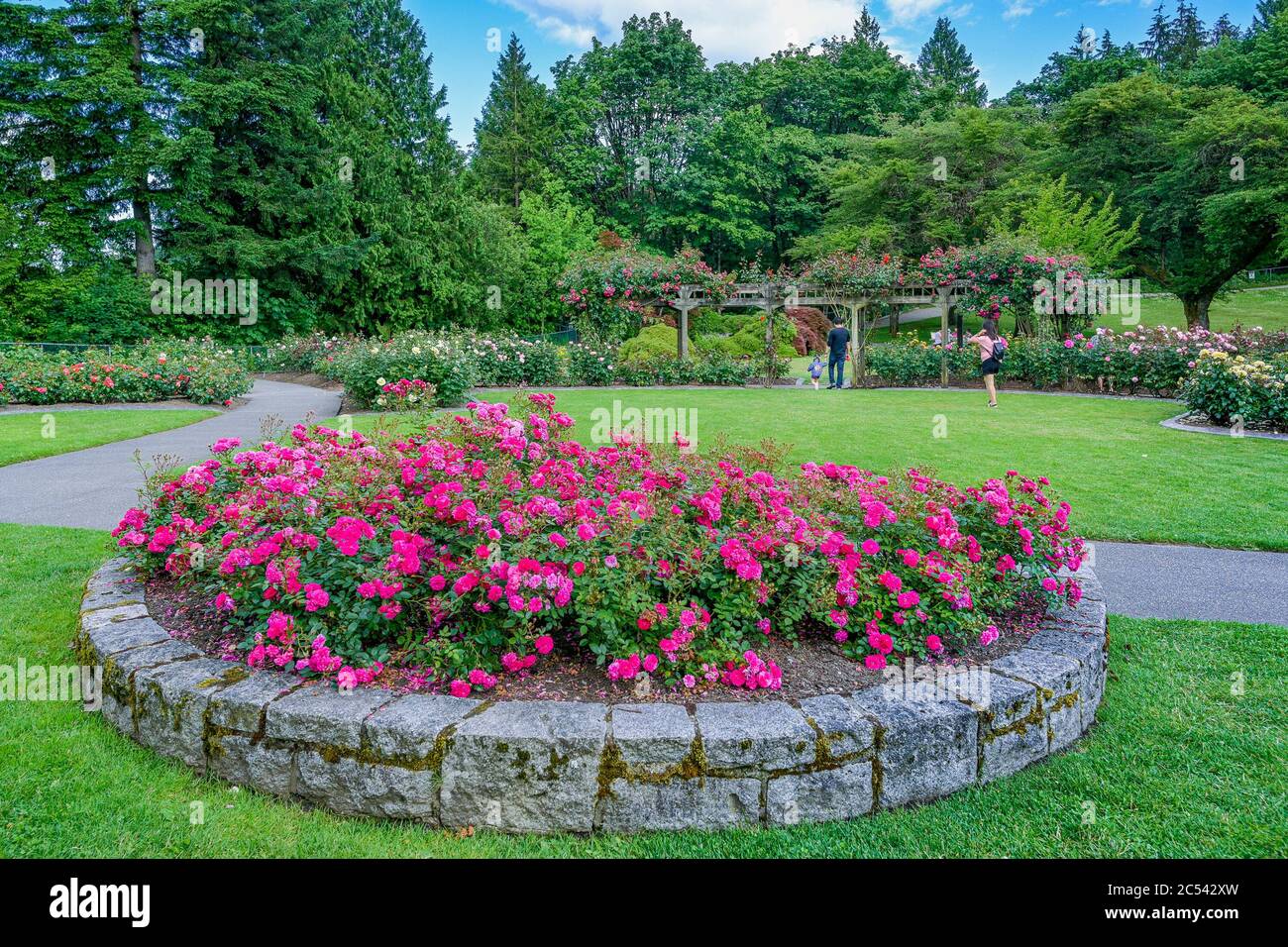 Burnaby mountain centennial rose garden hires stock photography and