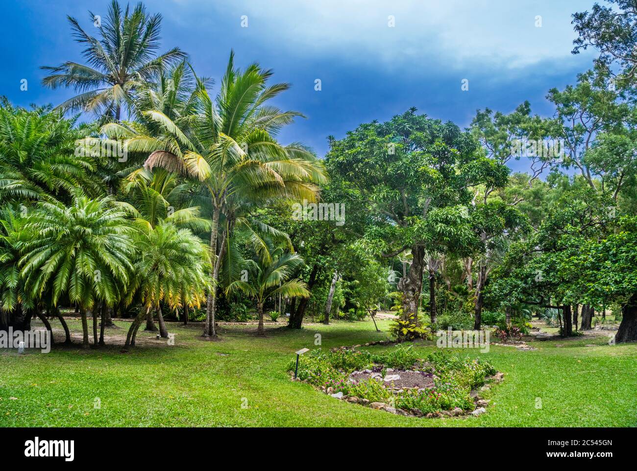 Cooktown Botanic Gardens, palmetum and rainforest garden, Cooktown