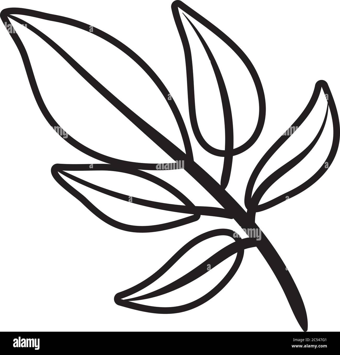branch with leafs line style icon vector illustration design Stock ...