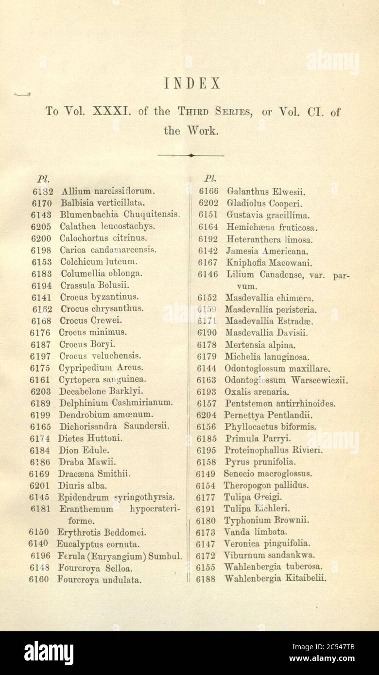Index - Curtis' 101 (Ser. 3 no. 31) (1875). Stock Photo