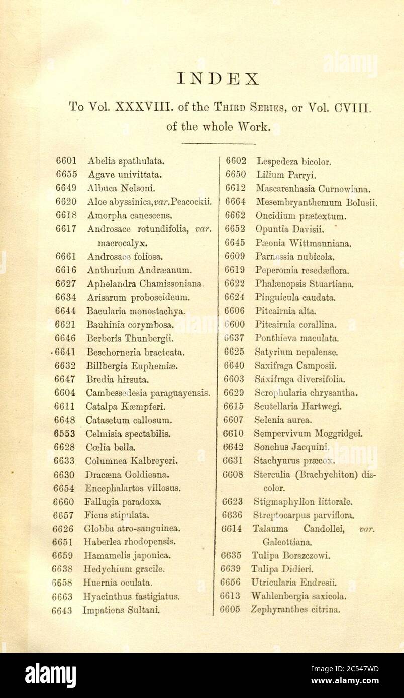 Index - Curtis' 108 (Ser. 3 no. 38) (1882). Stock Photo