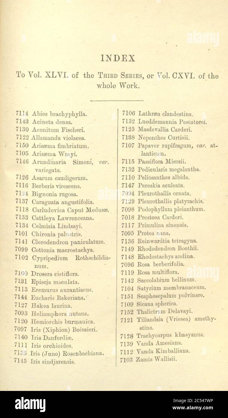 Index - Curtis' 116 (Ser. 3 no. 46) (1890). Stock Photo