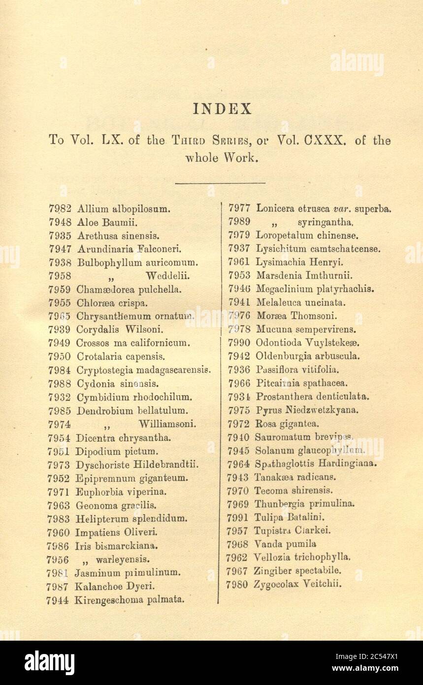Index - Curtis' 130 (Ser. 3 no. 60) (1904). Stock Photo