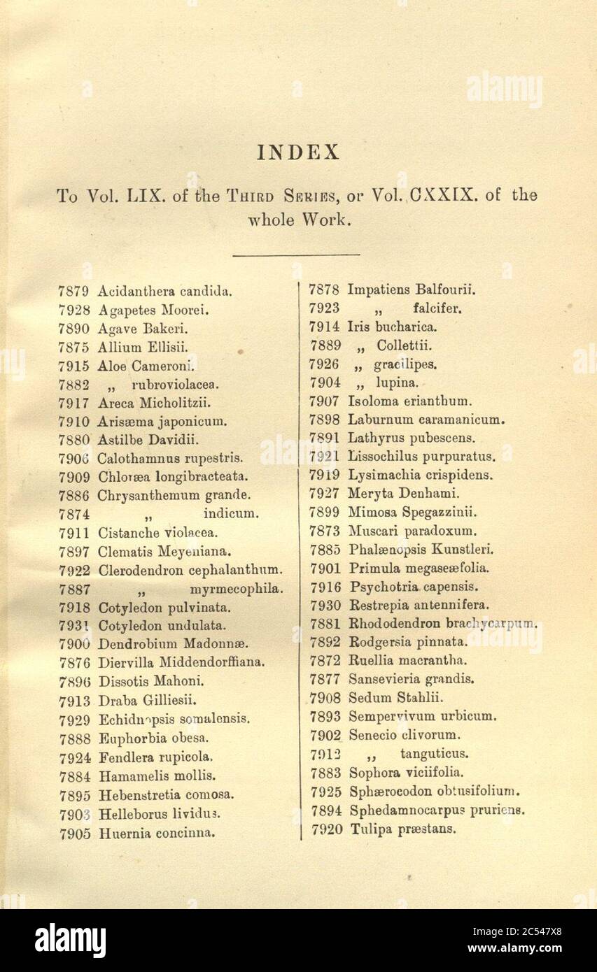 Index - Curtis' 129 (Ser. 3 no. 59) (1903). Stock Photo